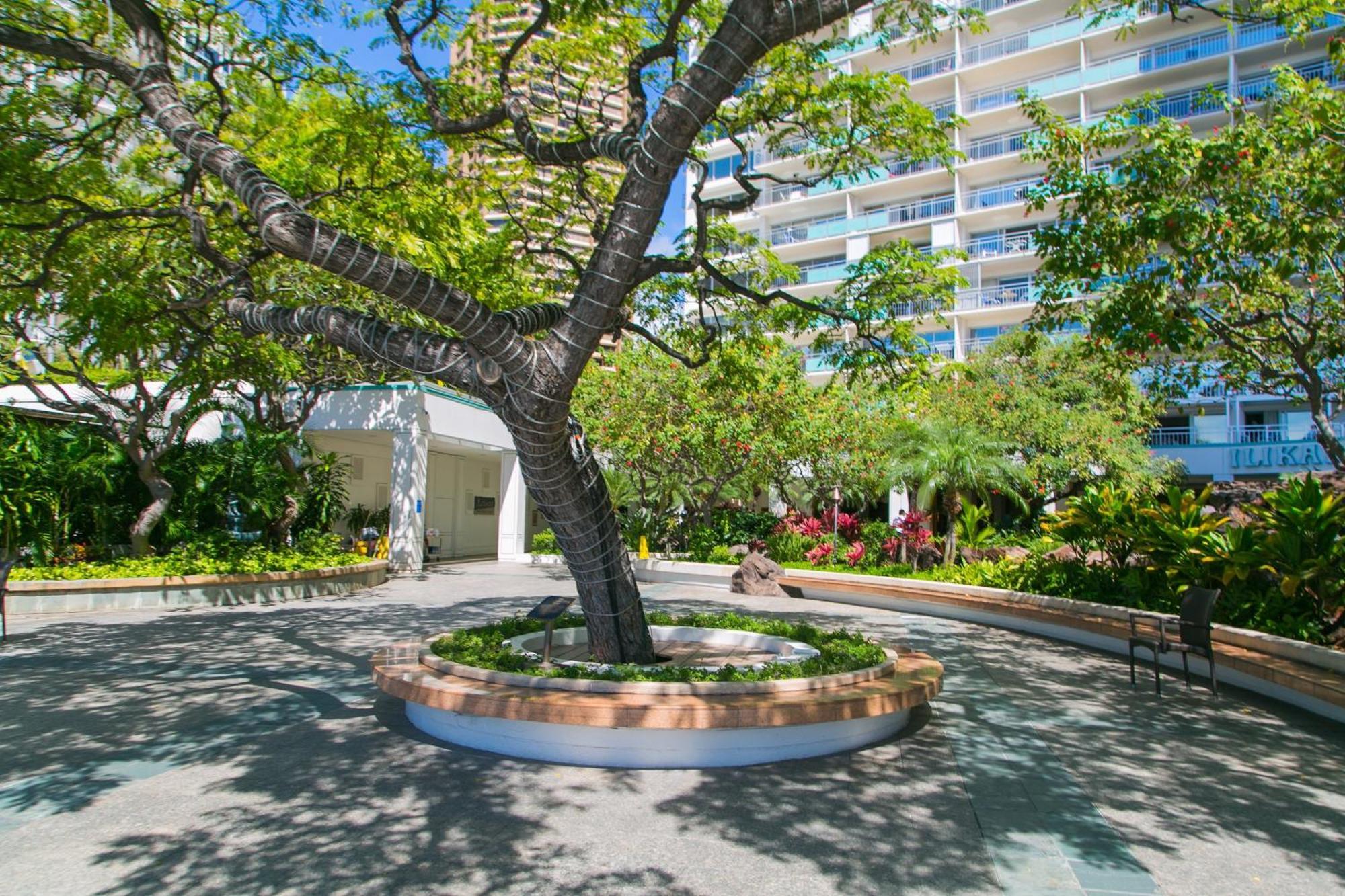 Ilikai Tower 1340 Lagoon View 1Br Honolulu Dış mekan fotoğraf
